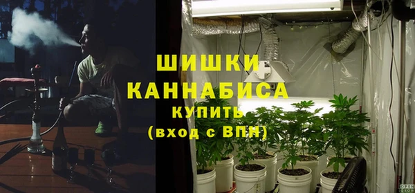 метадон Белокуриха