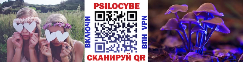 Псилоцибиновые грибы прущие грибы Бор